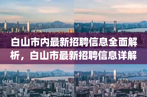 白山市內(nèi)最新招聘信息全面解析，白山市最新招聘信息詳解液壓動(dòng)力機(jī)械,元件制造