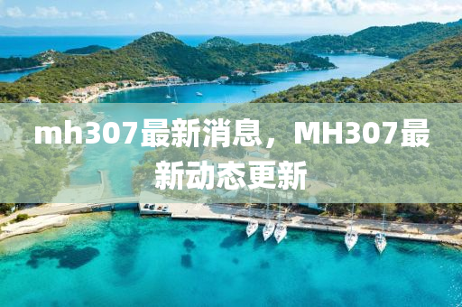 mh307最新消息，MH307最新動態(tài)更新液壓動力機械,元件制造