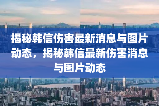 揭秘韓信傷害最新消息與圖片動(dòng)態(tài)，揭秘韓信最新傷害消息與圖片動(dòng)液壓動(dòng)力機(jī)械,元件制造態(tài)