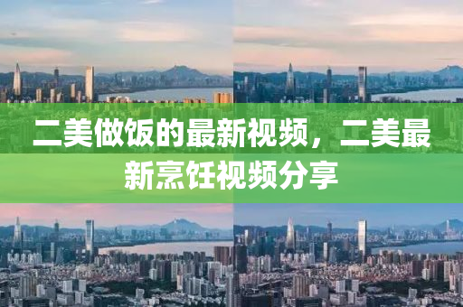 二美做飯的最新視頻，二美最新烹飪視頻分享液壓動(dòng)力機(jī)械,元件制造