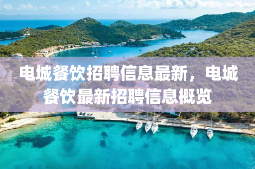 電城餐飲招聘信息最新，電城餐飲最新招聘信息概覽液壓動力機械,元件制造