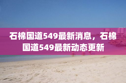 石棉國(guó)道549最新消息，石棉國(guó)道549最新動(dòng)態(tài)更新
