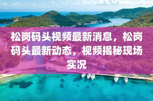 松崗碼頭視頻最新消息，松崗碼頭最新動(dòng)態(tài)，視頻揭秘現(xiàn)場(chǎng)實(shí)況液壓動(dòng)力機(jī)械,元件制造