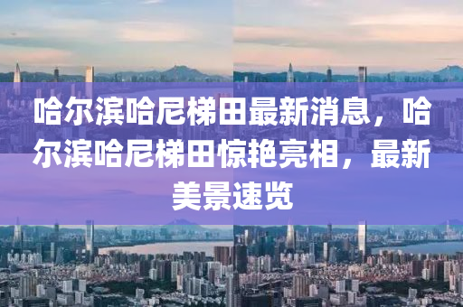 哈爾濱哈尼梯田最新消息，哈爾濱哈尼梯田驚艷亮相，最新美景速覽