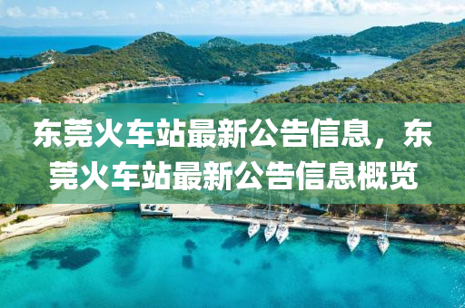 東莞火車(chē)站最新公告信息，東莞火車(chē)站最新公告信息概覽