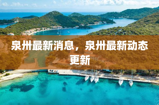 泉卅最新消息，泉卅最新動態(tài)更新