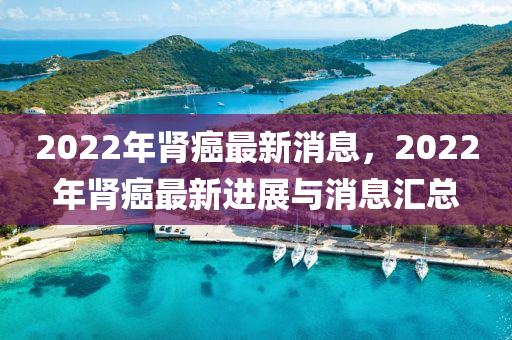 2022年腎癌最新消息，2022年腎癌最新進(jìn)展與消息匯總