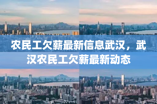 農(nóng)民工欠薪最新信息武漢，武漢農(nóng)民工欠薪最新動態(tài)