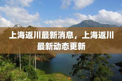 上海返川最新消息，上海返川最新動態(tài)更新