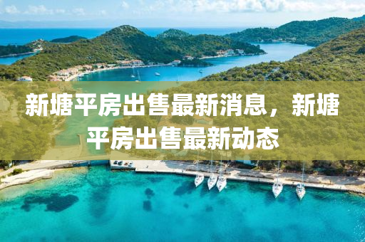 新塘平房出售最新消息，新塘平房出售最新動態(tài)
