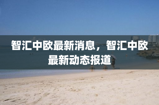 智匯中歐最新消息，智匯中歐最新動態(tài)報道