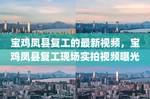 寶雞鳳縣復(fù)工的最新視頻，寶雞鳳縣復(fù)工現(xiàn)場實拍視頻曝光