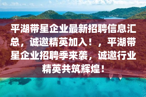 平湖帶星企業(yè)最新招聘信息匯總，誠邀精英加入！，平湖帶星企業(yè)招聘季來襲，誠邀行業(yè)精英共筑輝煌！