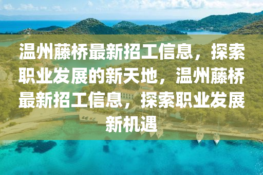 溫州藤橋最新招工信息，探索職業(yè)發(fā)展的新天地，溫州藤橋最新招工信息液壓動(dòng)力機(jī)械,元件制造，探索職業(yè)發(fā)展新機(jī)遇