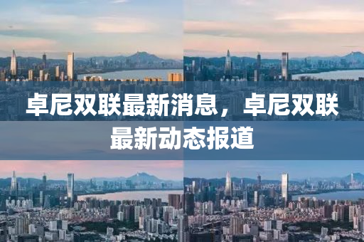 卓尼雙聯(lián)最新消息，卓尼雙聯(lián)最新動態(tài)報道