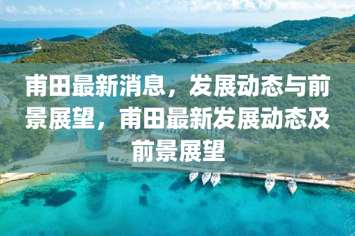 甫田最新消息，發(fā)展動(dòng)態(tài)與前景展望，甫田最新發(fā)展動(dòng)態(tài)及前景展望液壓動(dòng)力機(jī)械,元件制造