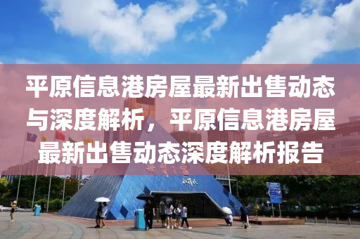 平原信息港房屋最新出售動(dòng)態(tài)與深度解析，平原信息港房屋最新出售動(dòng)態(tài)深度解析報(bào)告