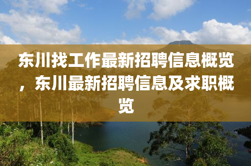 東川找工作最新招聘信息概覽，東川最新招聘信息及求職概覽