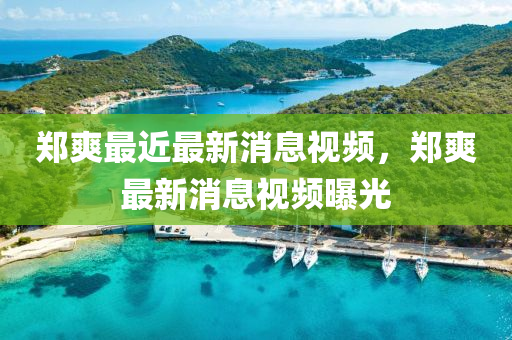 鄭爽最近最新消息視頻，鄭爽最新消息視頻曝光液壓動力機械,元件制造