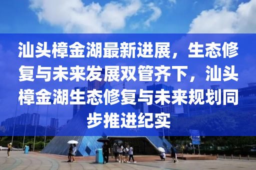 汕頭樟金湖最新進(jìn)展，生態(tài)修復(fù)與未來發(fā)展雙管齊下，汕頭樟金湖生態(tài)修復(fù)與未來規(guī)劃同步推進(jìn)紀(jì)實(shí)液壓動(dòng)力機(jī)械,元件制造