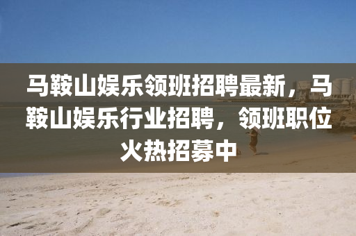 馬鞍山娛樂領(lǐng)班招聘最新，馬鞍山娛樂行業(yè)招聘，領(lǐng)班職位火熱招募中液壓動力機械,元件制造