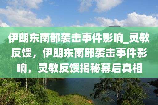 伊朗東南部襲擊事件影響_靈敏反饋，伊朗東南部襲擊事件影響，靈敏反饋揭秘幕后真液壓動力機(jī)械,元件制造相