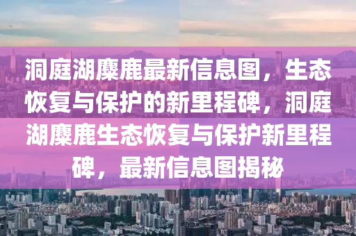 洞庭湖麋鹿最新信息圖，生態(tài)恢復(fù)與保護(hù)的新里程碑，洞庭湖麋鹿生態(tài)恢復(fù)與保護(hù)新里程碑，最新信息圖揭秘