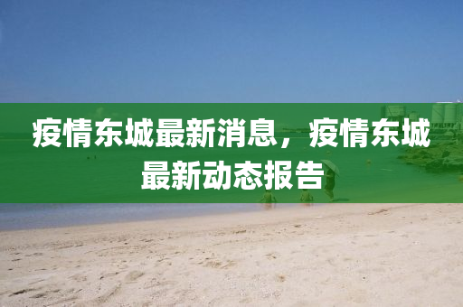 疫情東城最新消息，疫情東城最新動態(tài)報(bào)告
