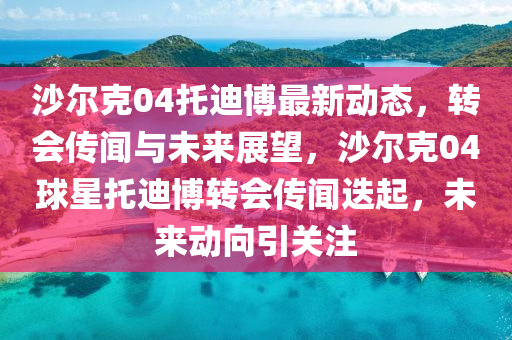 沙爾克04托迪博最新動(dòng)態(tài)，轉(zhuǎn)會(huì)傳聞與未來展望，沙爾克04球星托迪博轉(zhuǎn)會(huì)傳聞迭起，未來動(dòng)向引關(guān)注