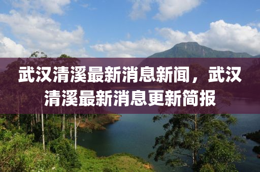 武漢清溪最新消息新聞，武漢清溪最新消息更新簡(jiǎn)報(bào)