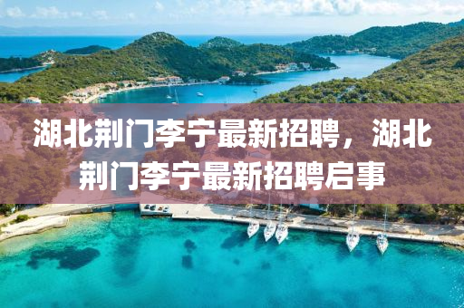 湖北荊門李寧最新招聘，湖北荊門李寧最新招聘啟事