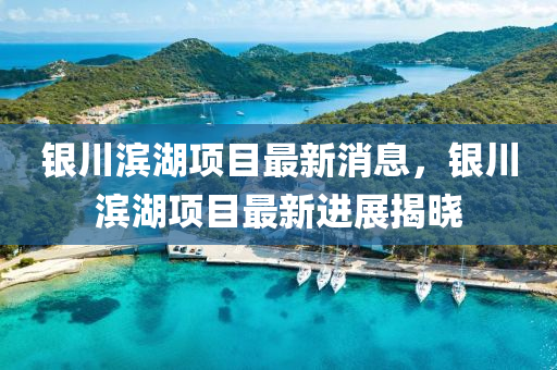 銀川濱湖項目最新消息，銀川濱湖項目最新進展揭曉