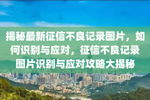 揭秘最新征信不良記錄圖片，如何識(shí)別與應(yīng)對(duì)，征信不良記錄圖片識(shí)別與應(yīng)對(duì)攻略大揭秘