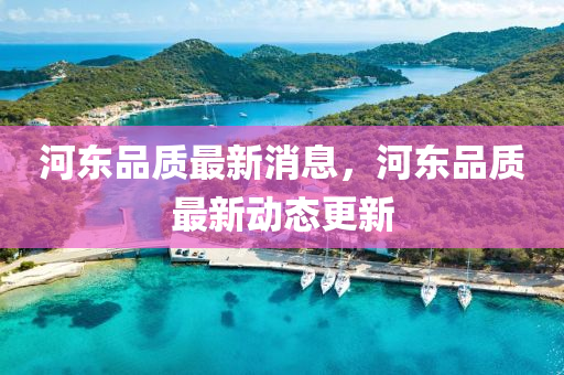 河?xùn)|品質(zhì)最新消息，河?xùn)|品質(zhì)最新動態(tài)更新