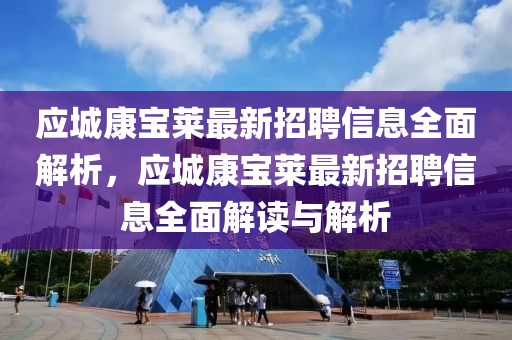 應(yīng)城康寶萊最新招聘信息全面解析，應(yīng)城康寶萊最新招聘信息全面解讀與解析液壓動(dòng)力機(jī)械,元件制造