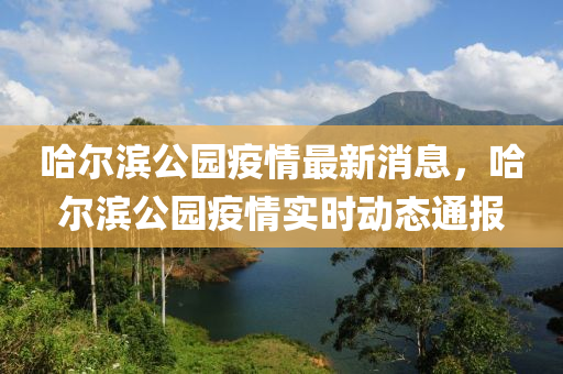 哈爾濱公園疫情最新消息，哈爾濱公園疫情實時動態(tài)通報液壓動力機械,元件制造