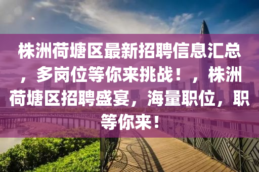 株洲荷塘區(qū)最新招聘信息匯總，多崗位等你來挑戰(zhàn)！，株洲荷塘區(qū)招聘盛宴，海量職位，職等你來！