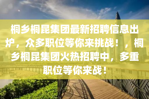 桐鄉(xiāng)桐昆集團(tuán)最新招聘信息出爐，眾多職位等你來挑戰(zhàn)！，桐鄉(xiāng)桐昆集團(tuán)火熱招聘中，多重職位等你來戰(zhàn)！