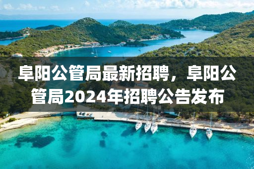 阜陽(yáng)公管局最新招聘，阜陽(yáng)公管局2024年招聘公告發(fā)布