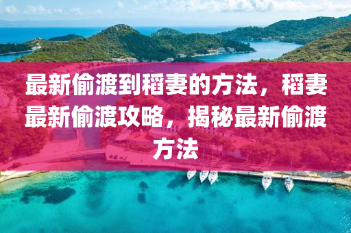 最新偷渡到稻妻的方法，稻妻最新偷渡攻略，揭秘最新偷渡方法