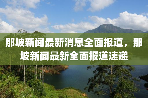 那坡新聞最新消息全面報(bào)道，那坡新聞最新全面報(bào)道速遞液壓動(dòng)力機(jī)械,元件制造