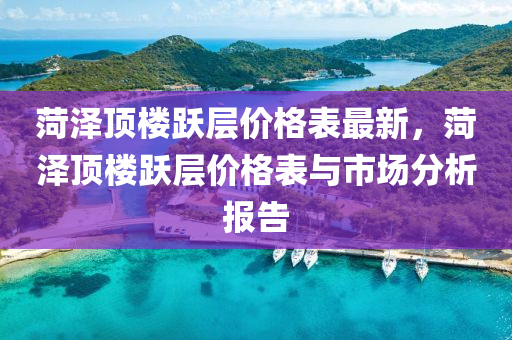 菏澤頂樓躍層價格表最新，菏澤頂液壓動力機械,元件制造樓躍層價格表與市場分析報告