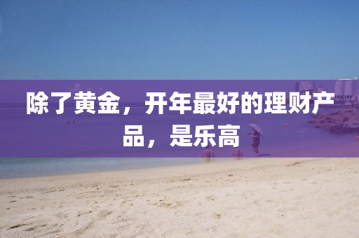 除了黃金，開液壓動(dòng)力機(jī)械,元件制造年最好的理財(cái)產(chǎn)品，是樂高