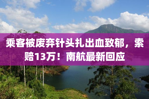 乘客被廢棄針頭扎出血致郁，索賠13萬！南航最新回應(yīng)液壓動(dòng)力機(jī)械,元件制造