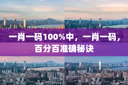一肖一碼100%中，一肖一碼，百分百準(zhǔn)確秘液壓動(dòng)力機(jī)械,元件制造訣