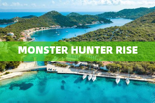 MONSTER HUNTE液壓動力機械,元件制造R RISE