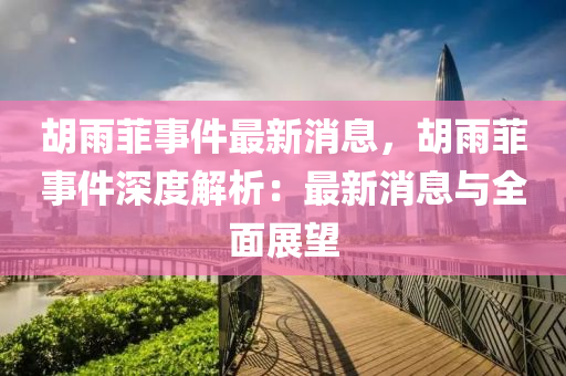 胡雨菲事件最新消息，胡雨菲事件深度解析：最新消息與全面展望液壓動(dòng)力機(jī)械,元件制造