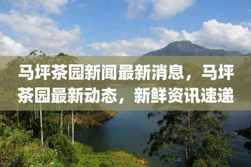 馬坪茶園新聞最新消息，馬坪茶園最新動(dòng)態(tài)，新鮮資訊速遞液壓動(dòng)力機(jī)械,元件制造