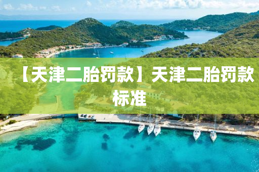 【天津二胎罰款】天津二胎液壓動力機械,元件制造罰款標準
