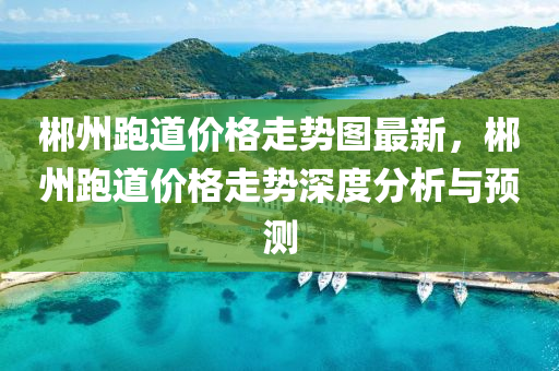 郴州跑道價格走勢圖最新，郴州跑道價格走勢深度分析與預測液壓動力機械,元件制造